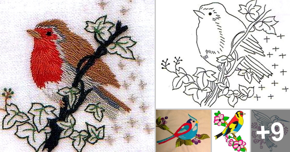Me sorprendió frijoles Espejismo 14 Hermosos Dibujos para Bordar Pájaros
